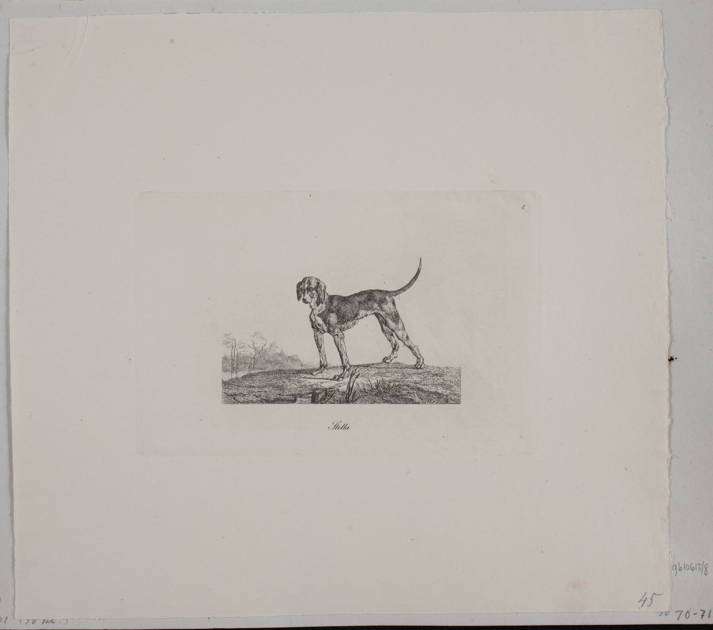 Stella, Christian David Gebauer, 1821