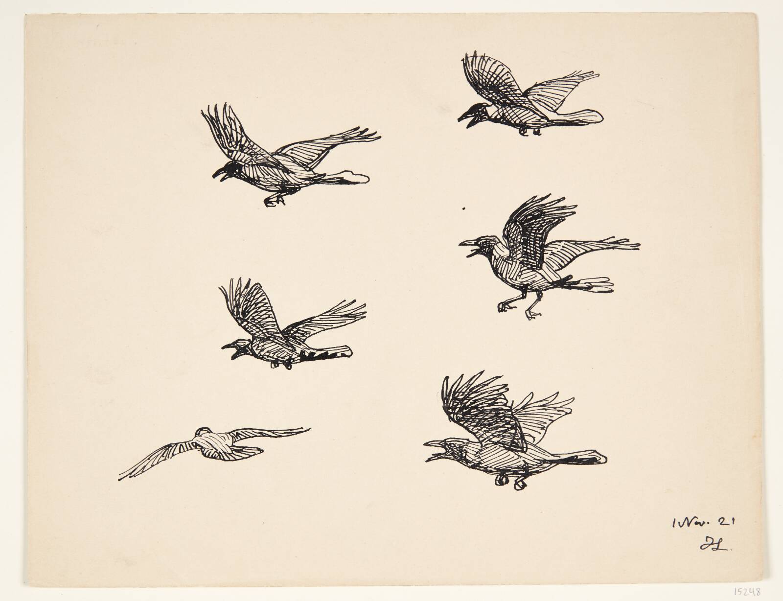 Fuglestudie, Johannes Larsen, 1921