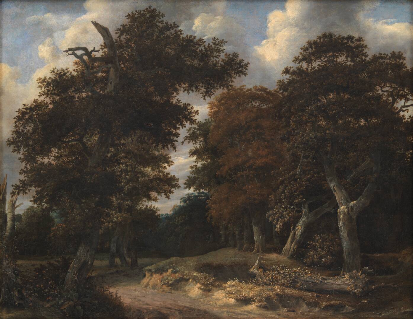 Road through an Oak Forest, by Jacob Isaacksz. van Ruisdael, 1646-1647