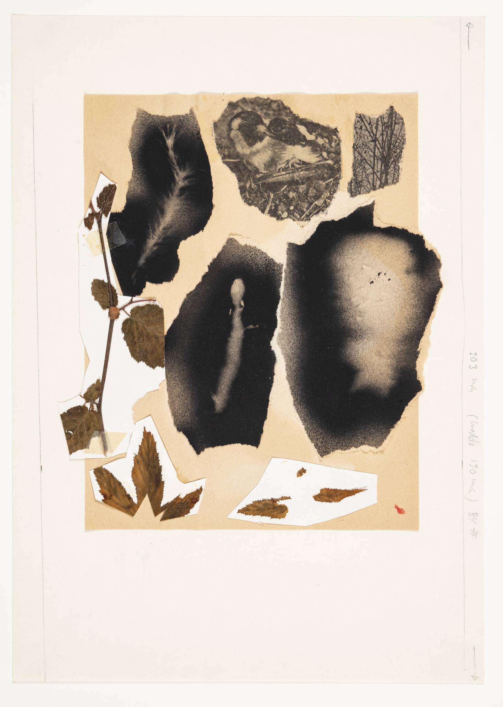 Dyrenaboer, Per Kirkeby, 1972