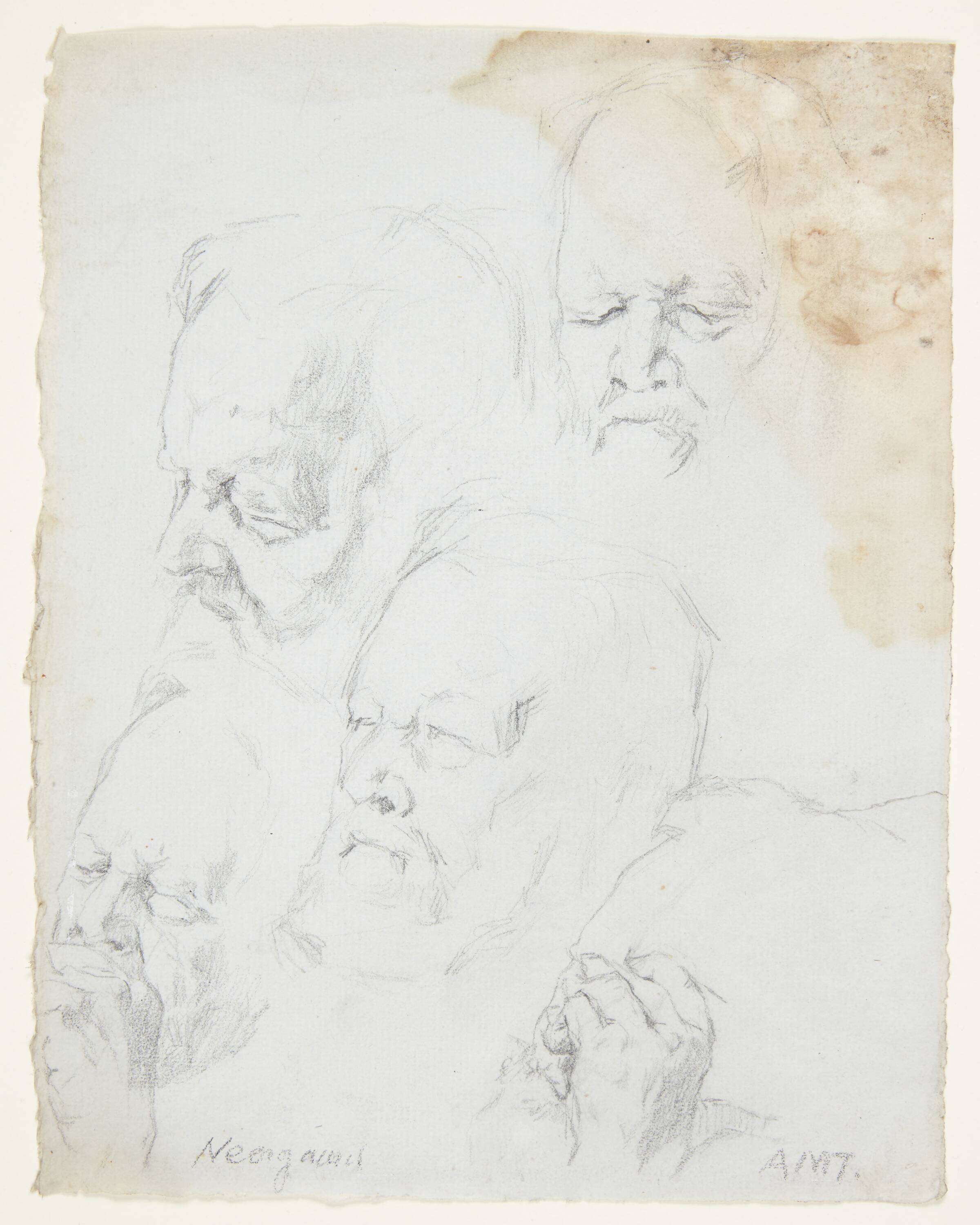 Portrætstudier af godsejer til Fuglsang, Viggo Neergaard, Anne Marie Telmányi, 1815-1915