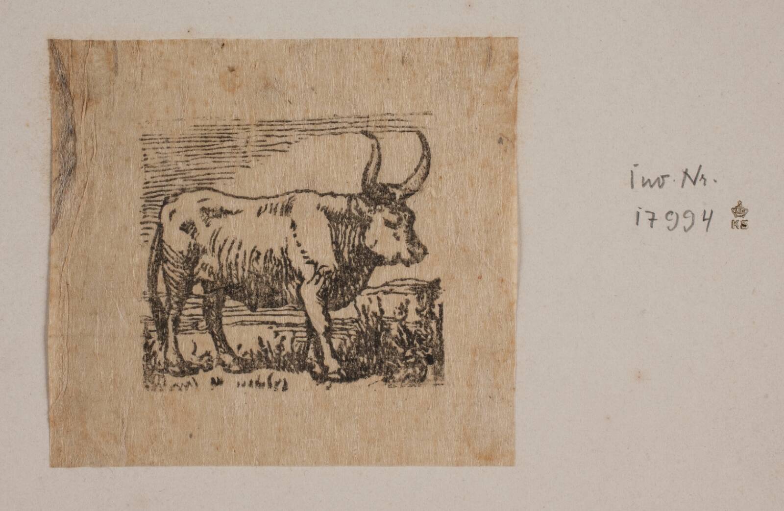 En okse, Niels Skovgaard, 1868-1872
