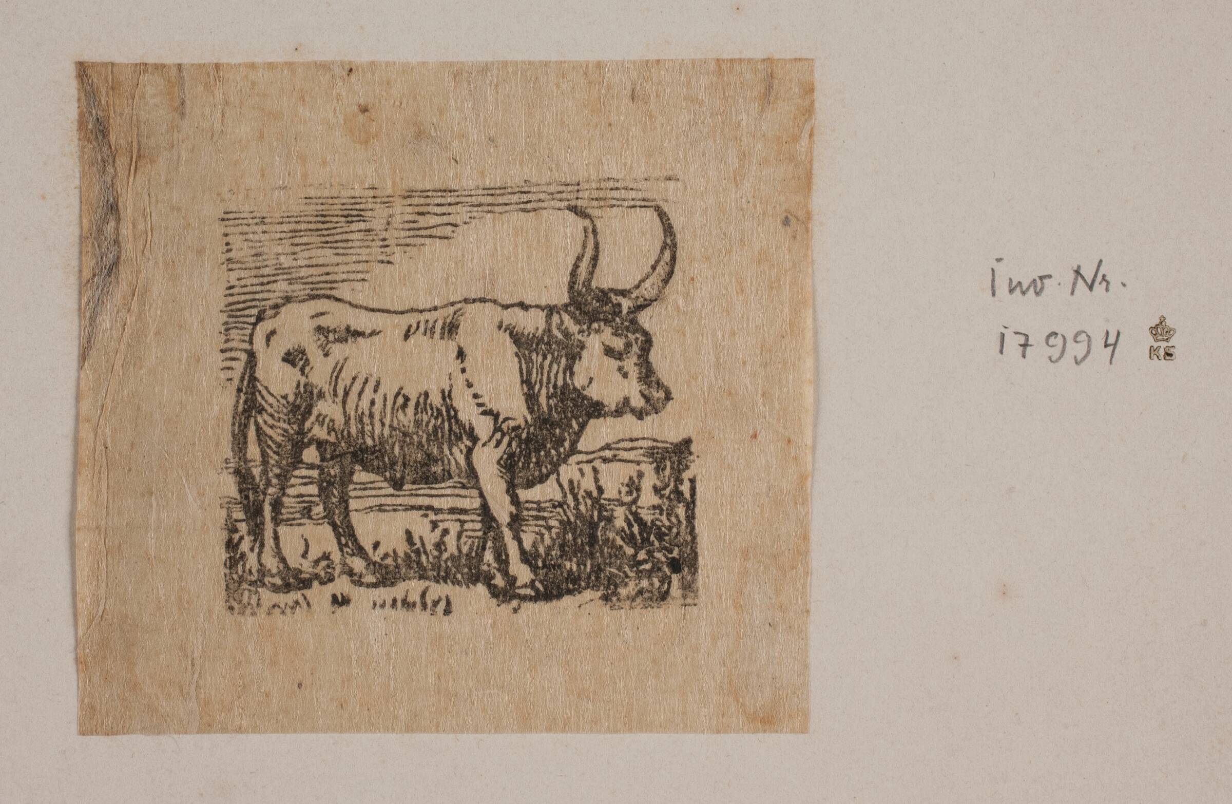 En okse, Niels Skovgaard, 1868-1872