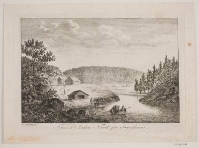 Næss i Aasen Nord for Trondheim