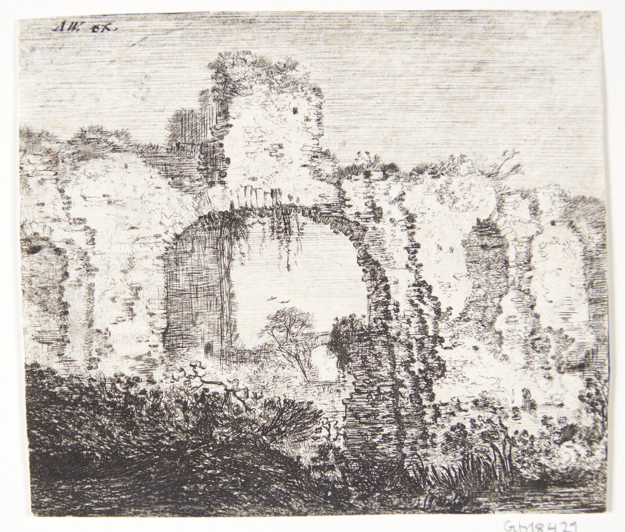 Tilgroet ruin