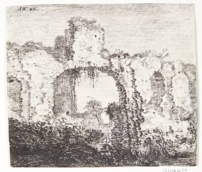 Tilgroet ruin