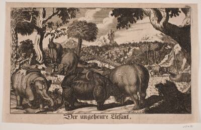 "Der ungeheure Elefant"