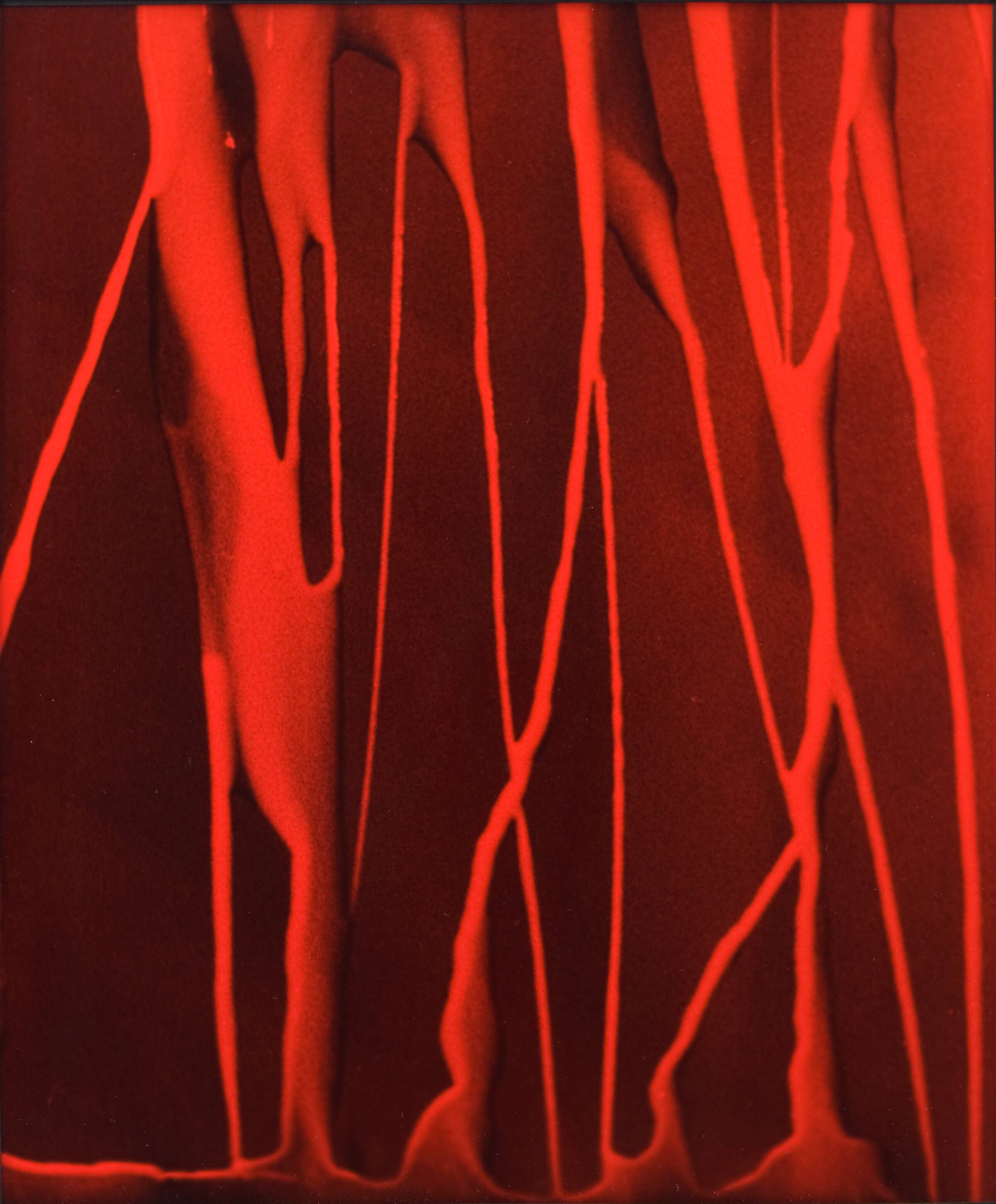 Bloody Life No. 1, Gilbert, 1975