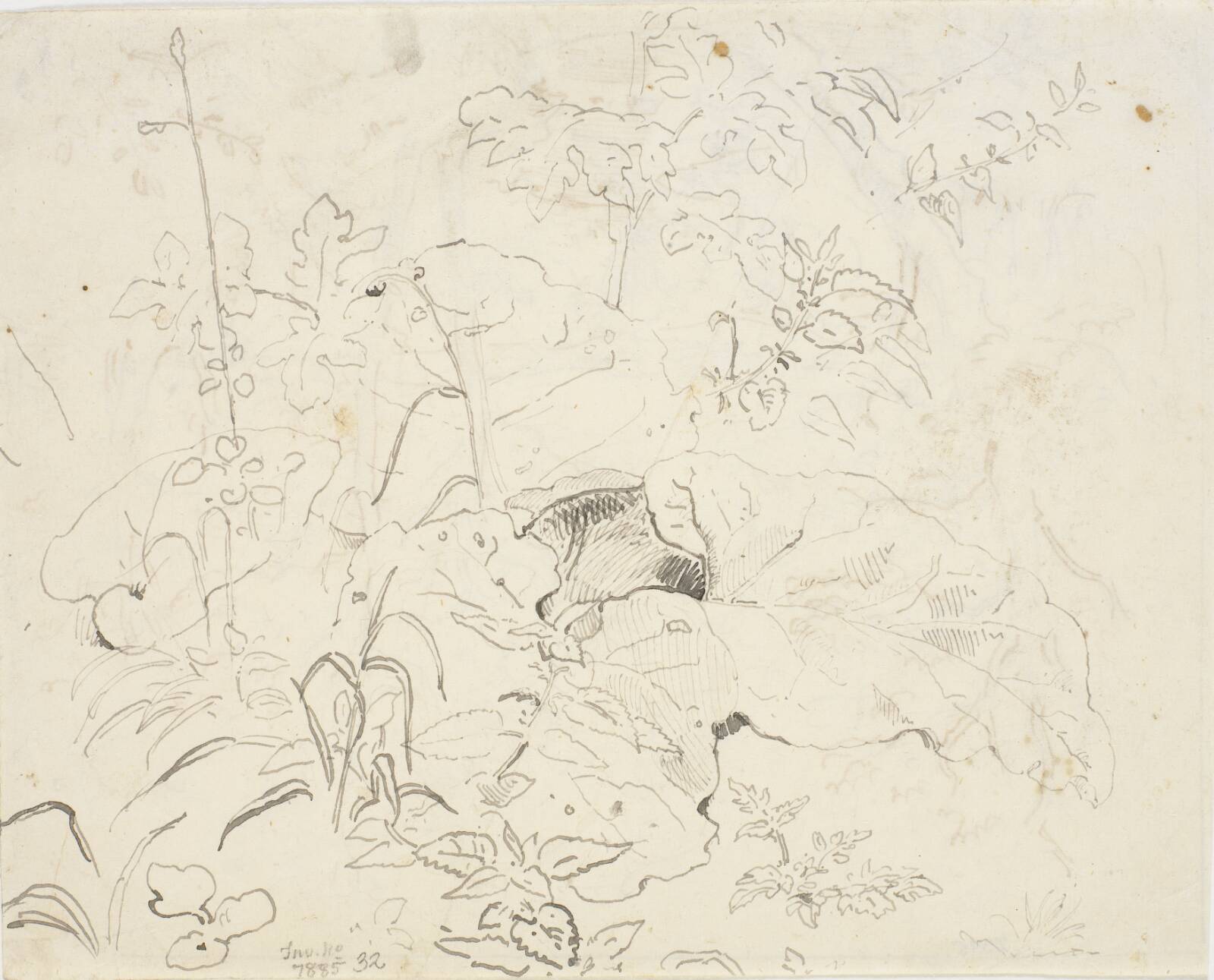 Bladstudier, Dankvart Dreyer, 1840-1849