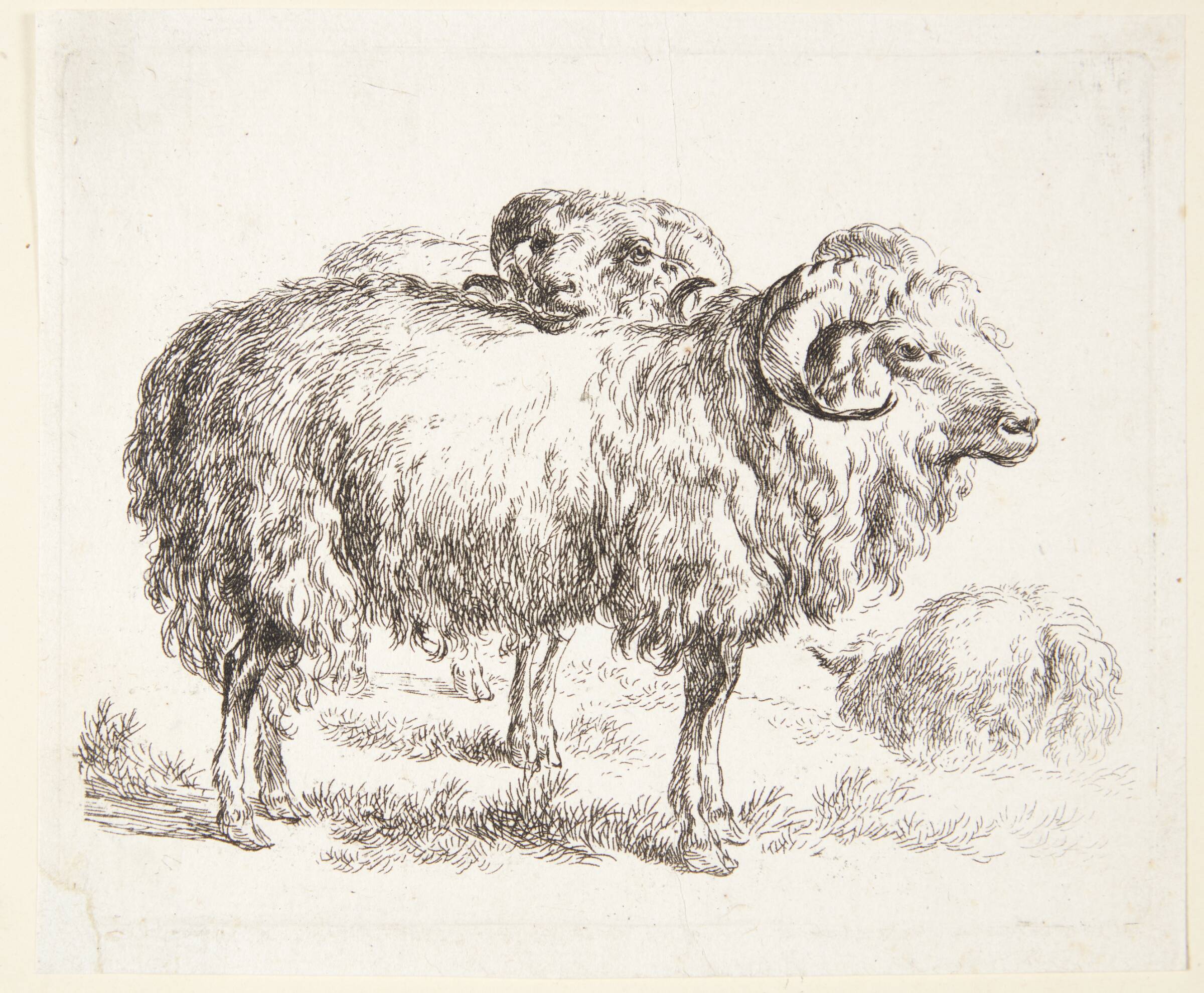 To væddere, Nicolaes Berchem, 1620-1683