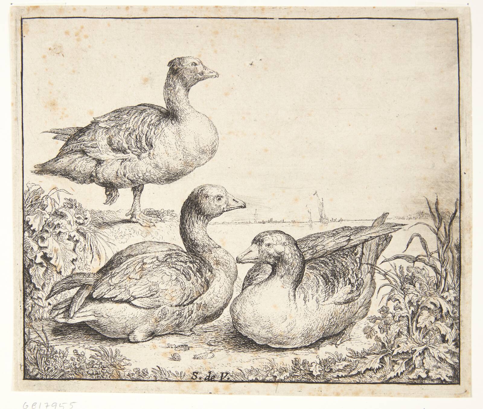 Tre gæs, Simon de Vlieger, 1600-1653