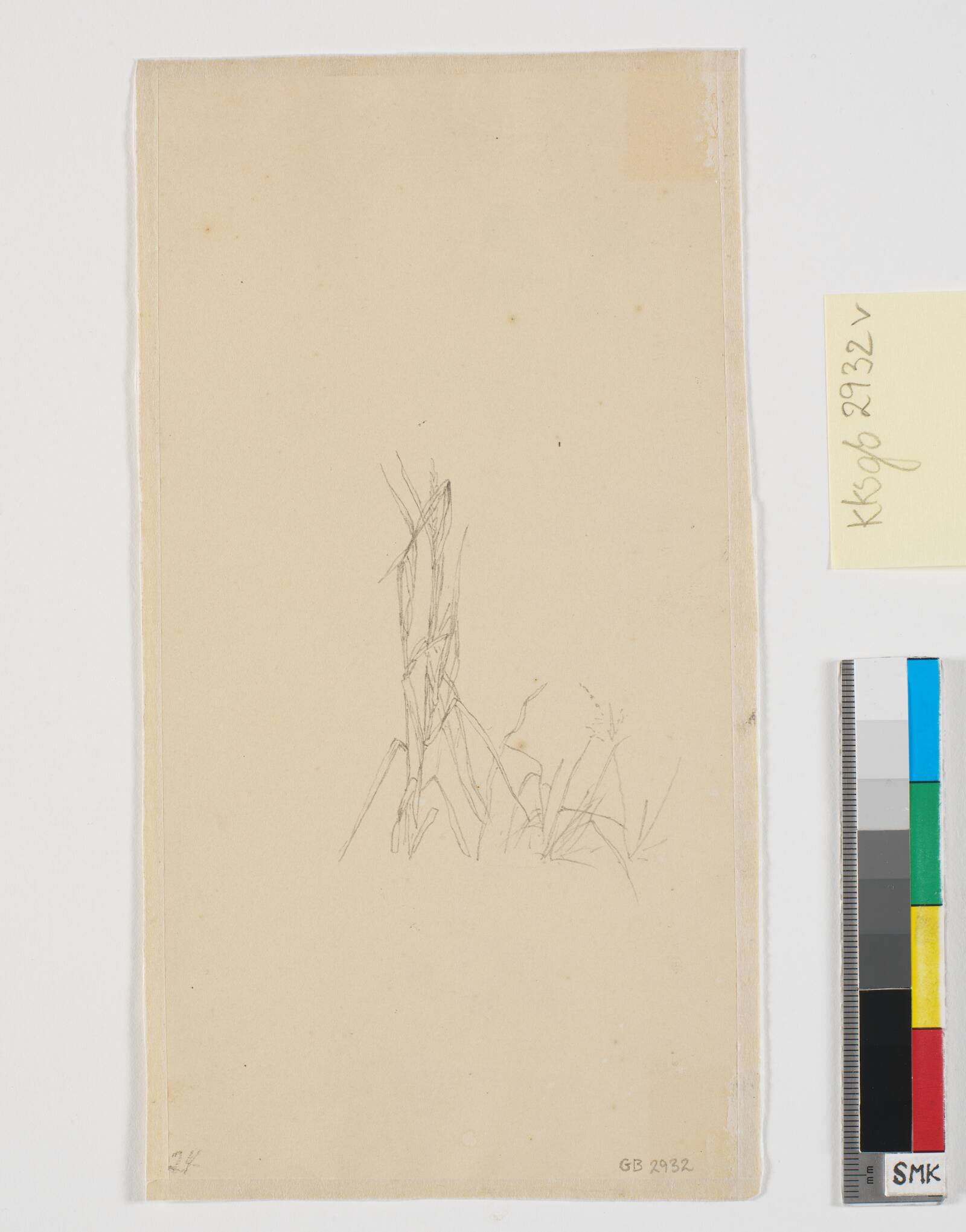 Planterids, Christen Købke, 1810-1848
