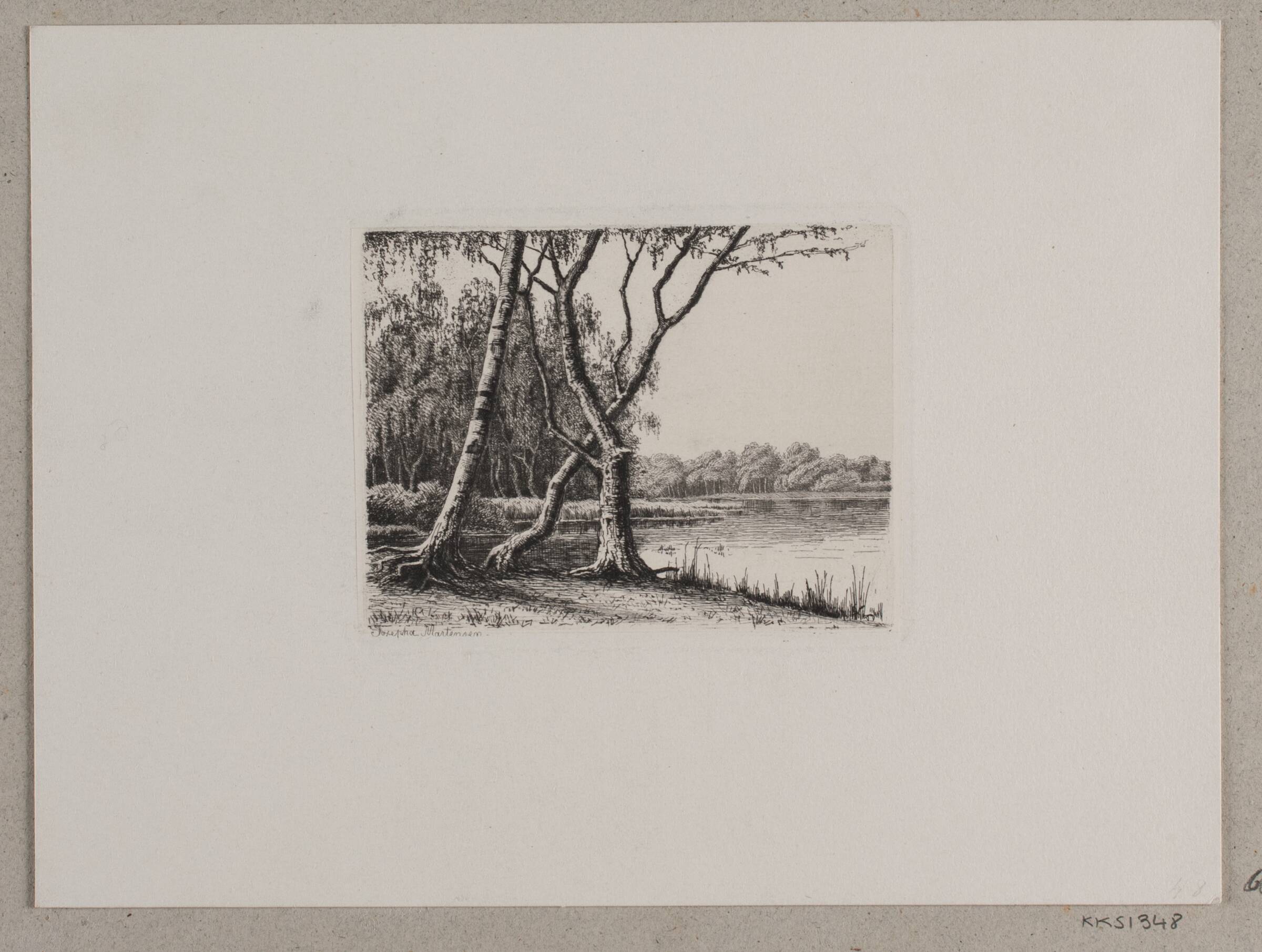 Fra Bøllemosen, Josepha Martensen, 1852-1924