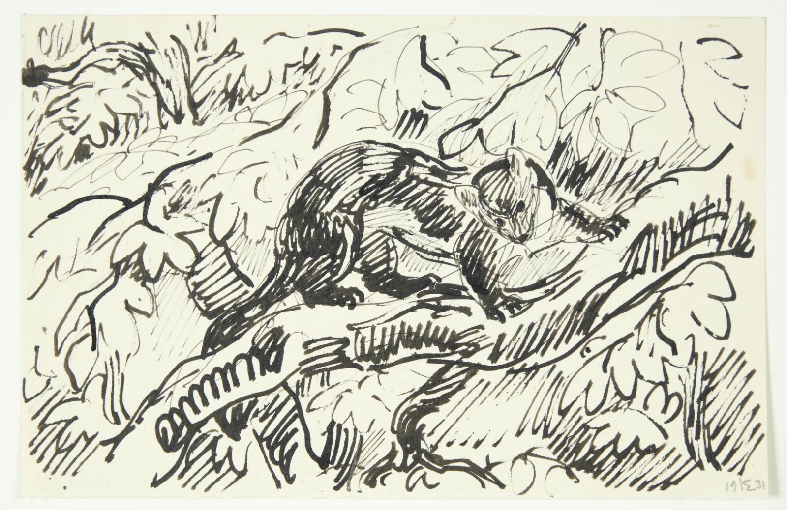 Skovmår, Knud Kyhn, 1931