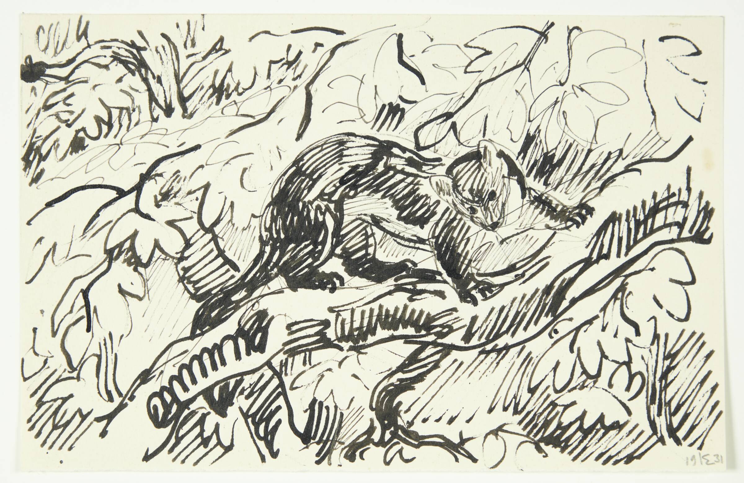 Skovmår, Knud Kyhn, 1931