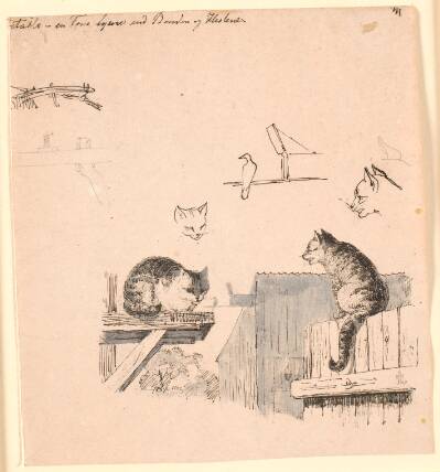 De to katte. F.o. studier af kattehoveder, en fugl, et katteøre og bjælke-værk. Illustration til Kaalunds "Fabler for Børn". Se kommentar fra arkkatalog.