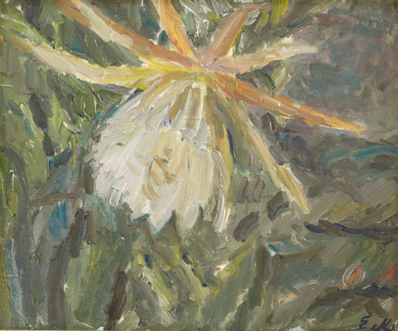 Blomstrende kaktus, Elisabeth Karlinsky, 1920-1964