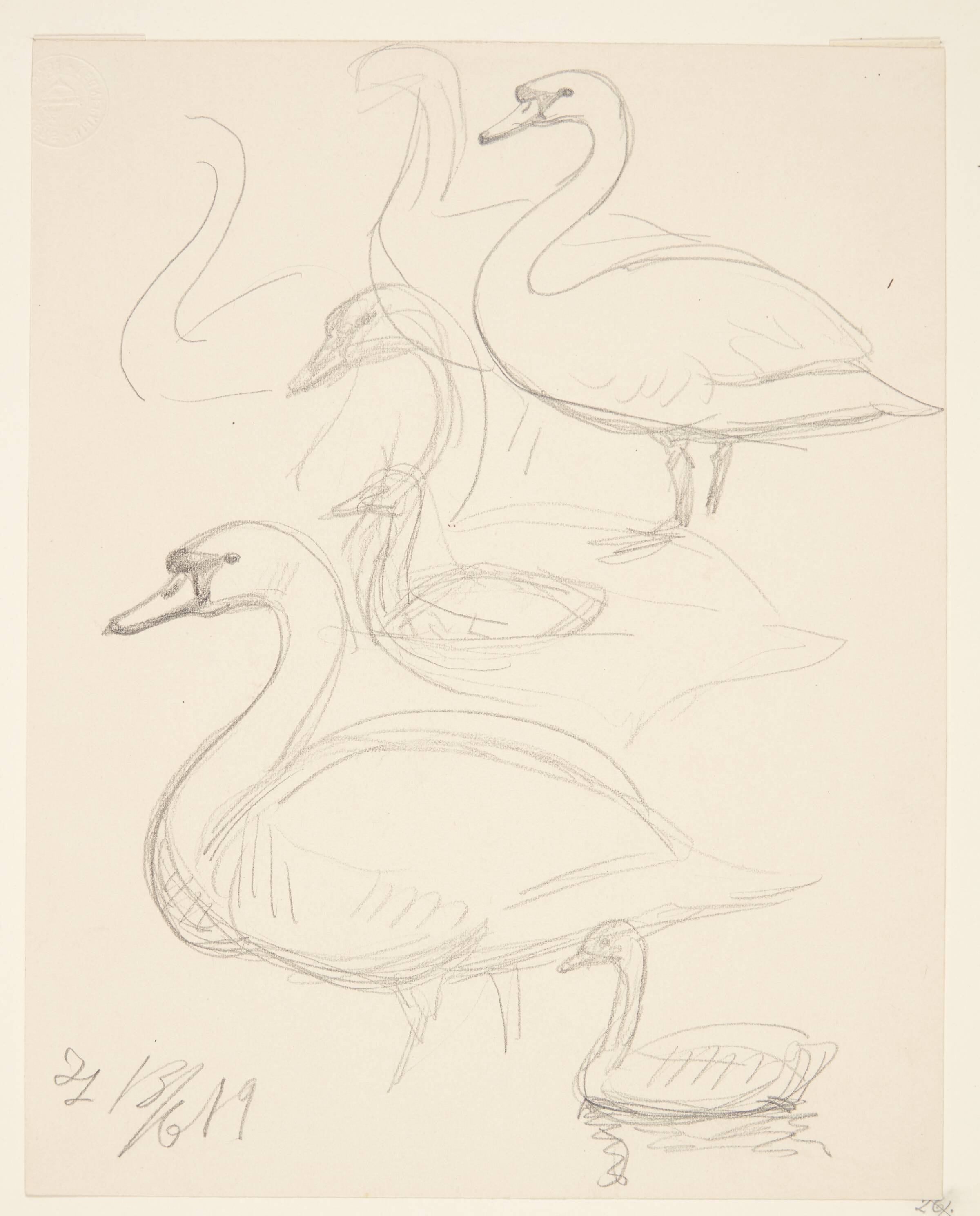 Stående svaner og en svømmende svane, Johannes Larsen, 1919