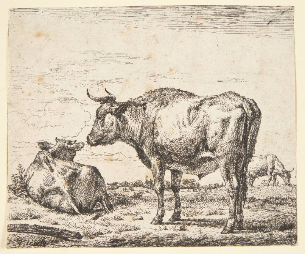 Stående tyr, Adriaen van de Velde, 1636-1672