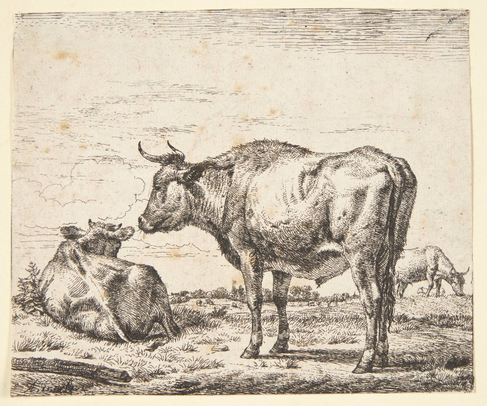 Stående tyr, Adriaen van de Velde, 1636-1672