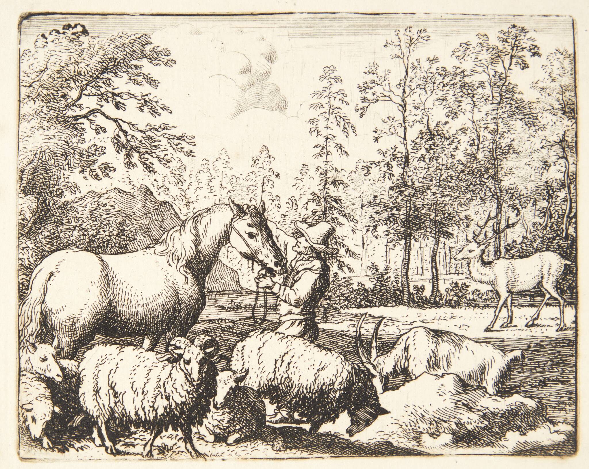 Den misundelige hest