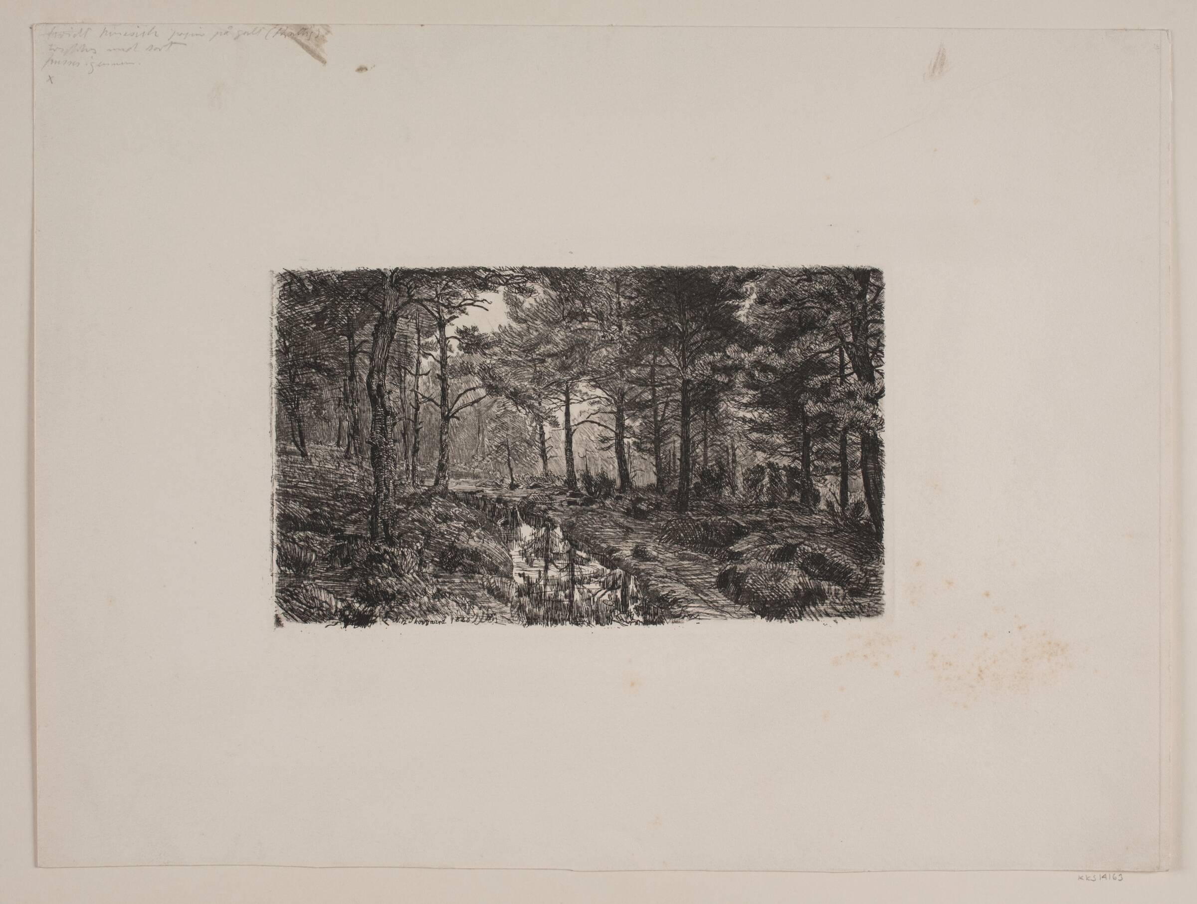 Oversvømmet vej i skoven ved Øströö, Niels Skovgaard, 1885