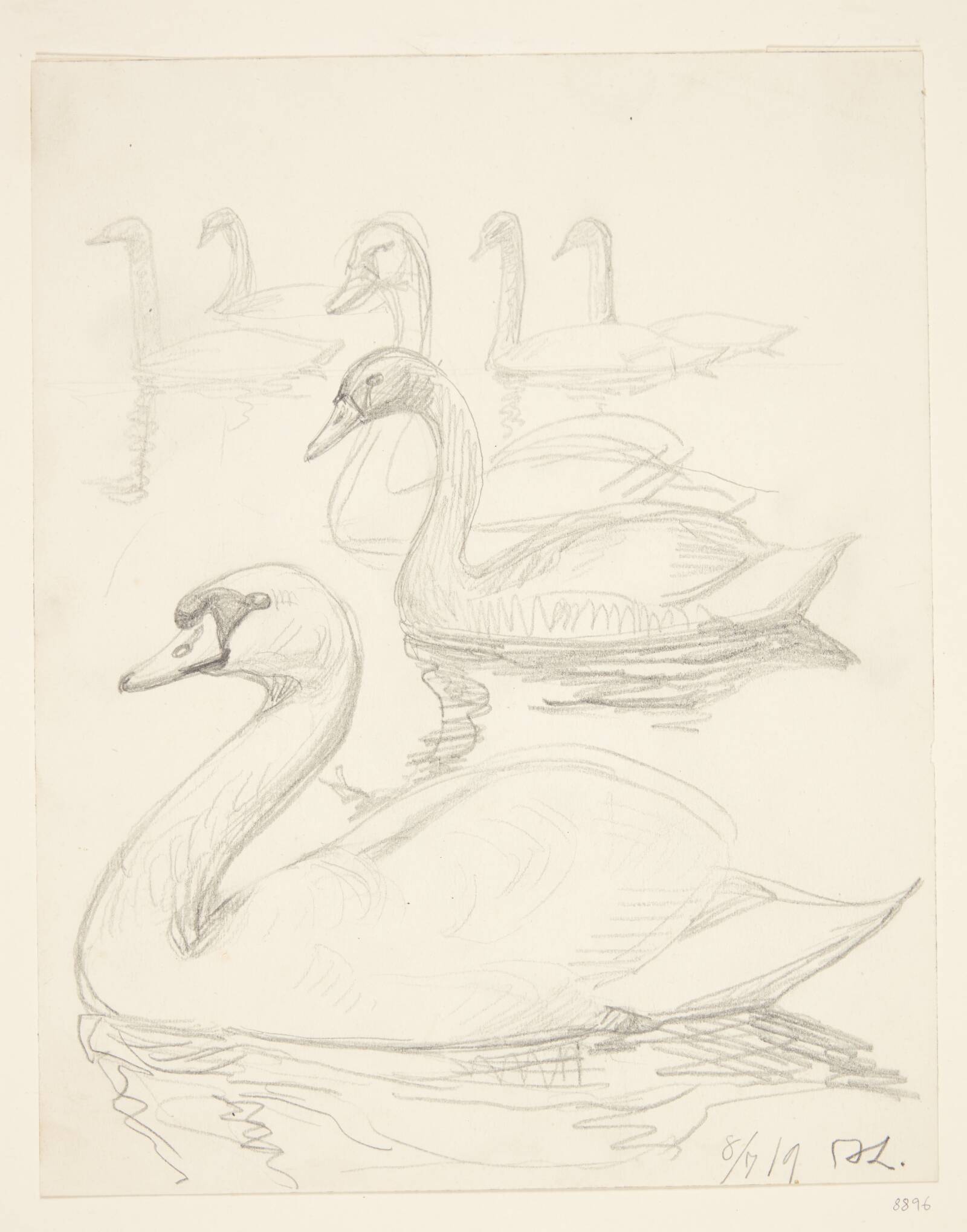 Svømmende svaner, Johannes Larsen, 1919