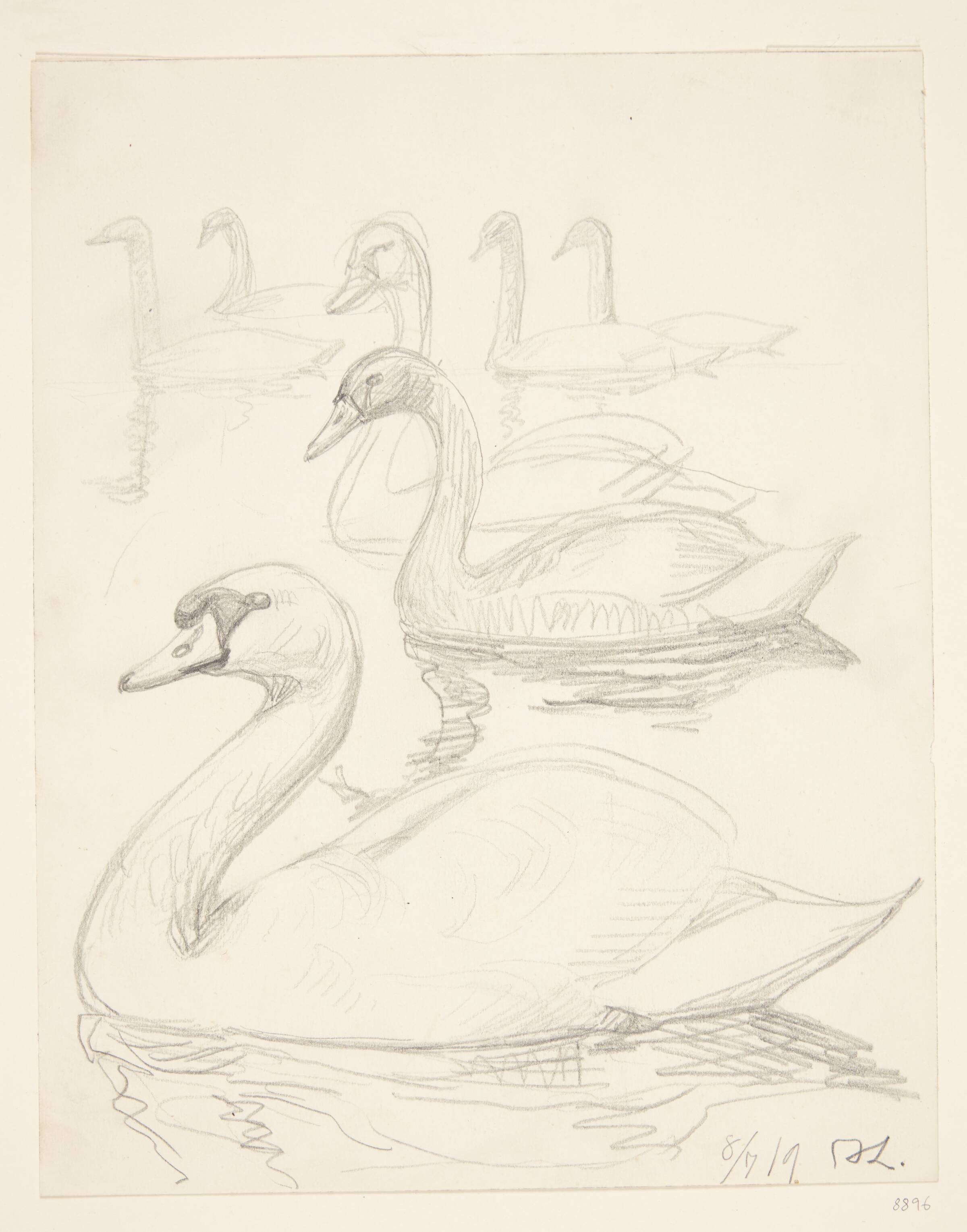 Svømmende svaner, Johannes Larsen, 1919