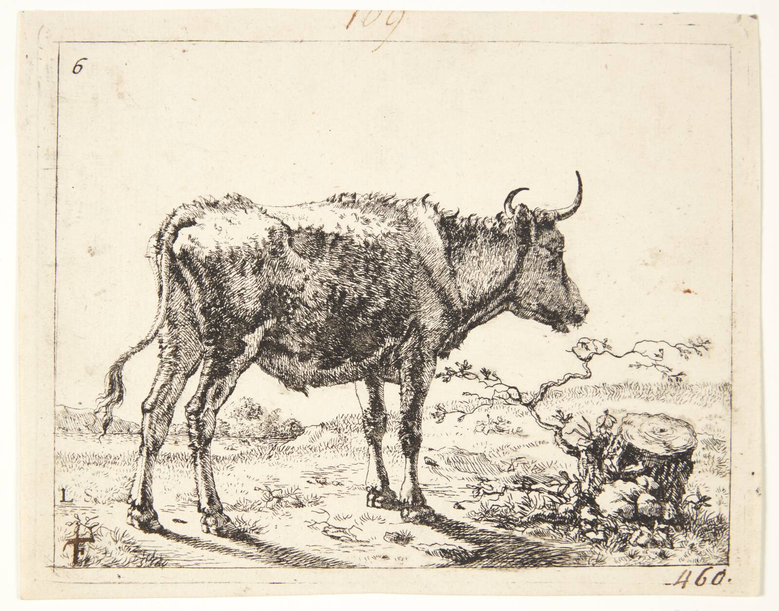 Stående stud, vendt mod højre, Marcus de Bye, 1638-1690