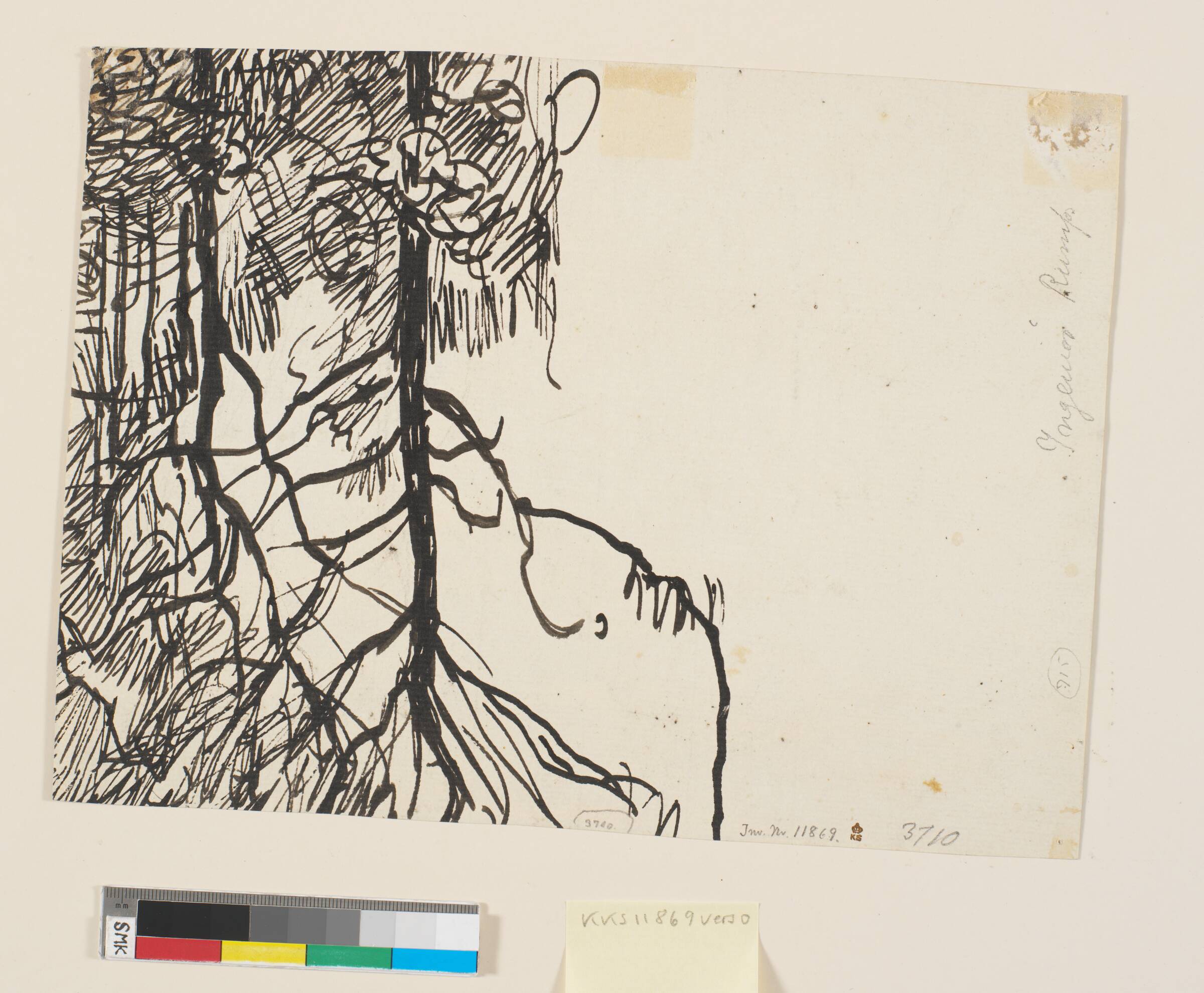 Studie af afbladet træ, Fritz Syberg, 1895-1902