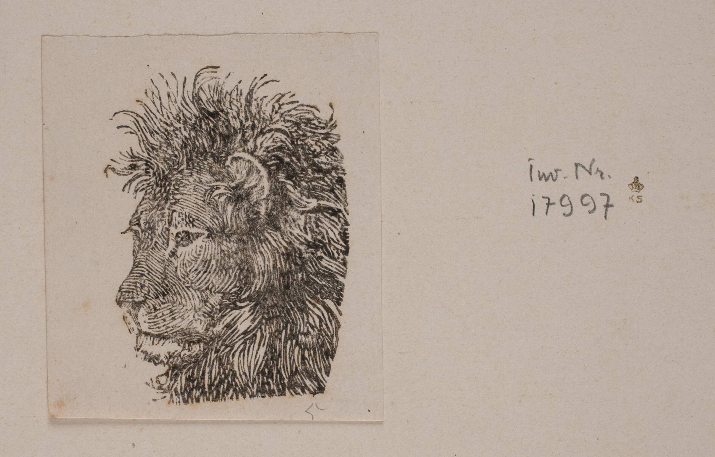 Et løvehoved, Niels Skovgaard, 1868-1872