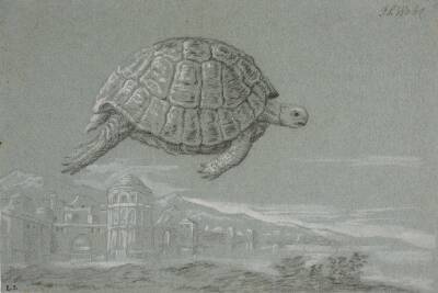 Studie af en skildpadde, og prospekt af en befæstet by ved havet (Venedig)
