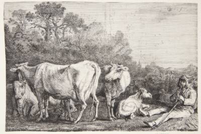 En kohyrde