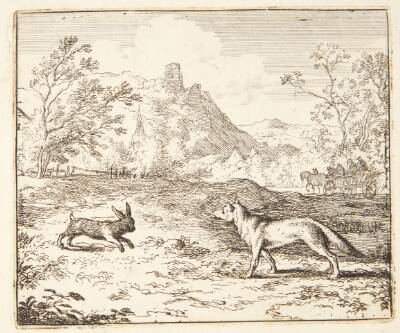 Renard og haren