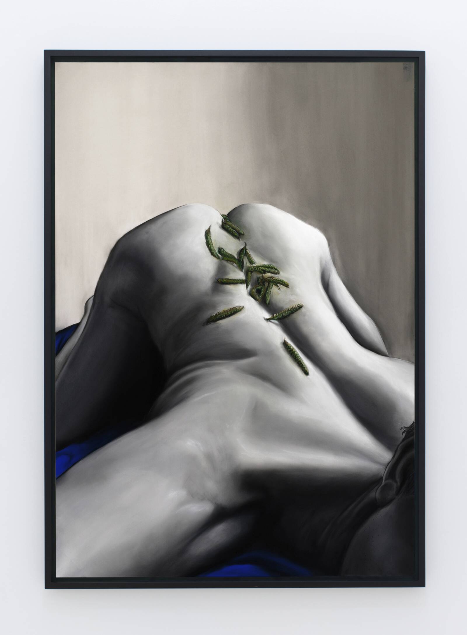 His Sperm, Angiosperm (Beech), Rasmus Myrup, 2019