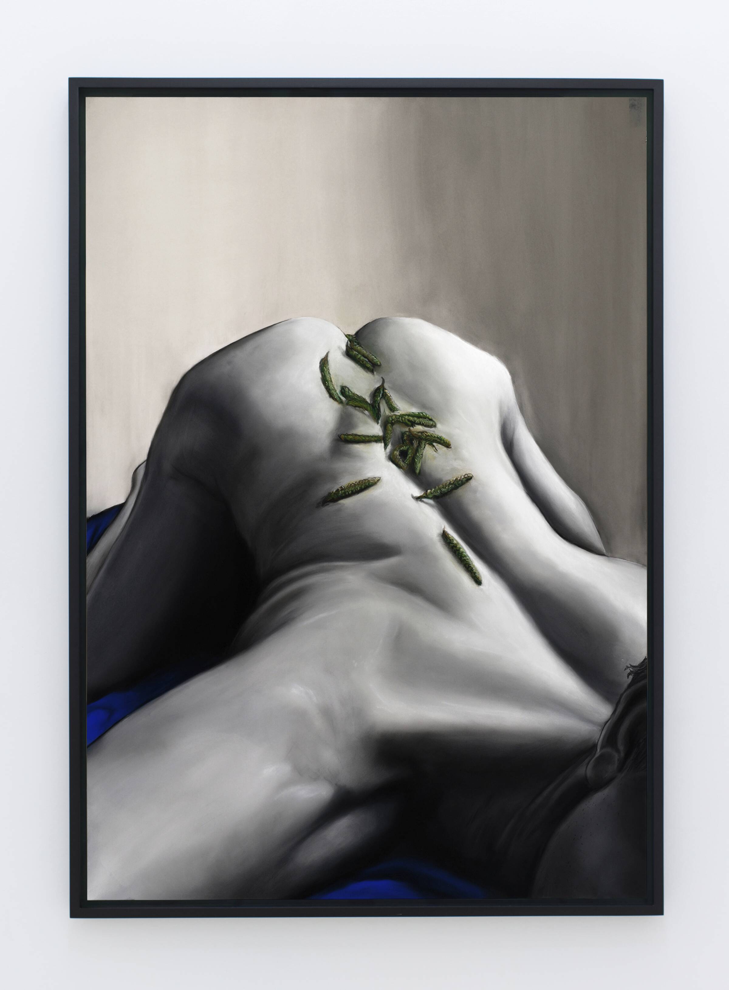 His Sperm, Angiosperm (Beech), Rasmus Myrup, 2019