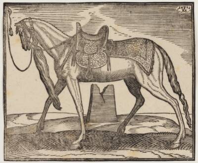 Elegant opsadlet hest, tøjret ved v. indramningslinje, profil mod v.; under hestens bug ses en ruineret