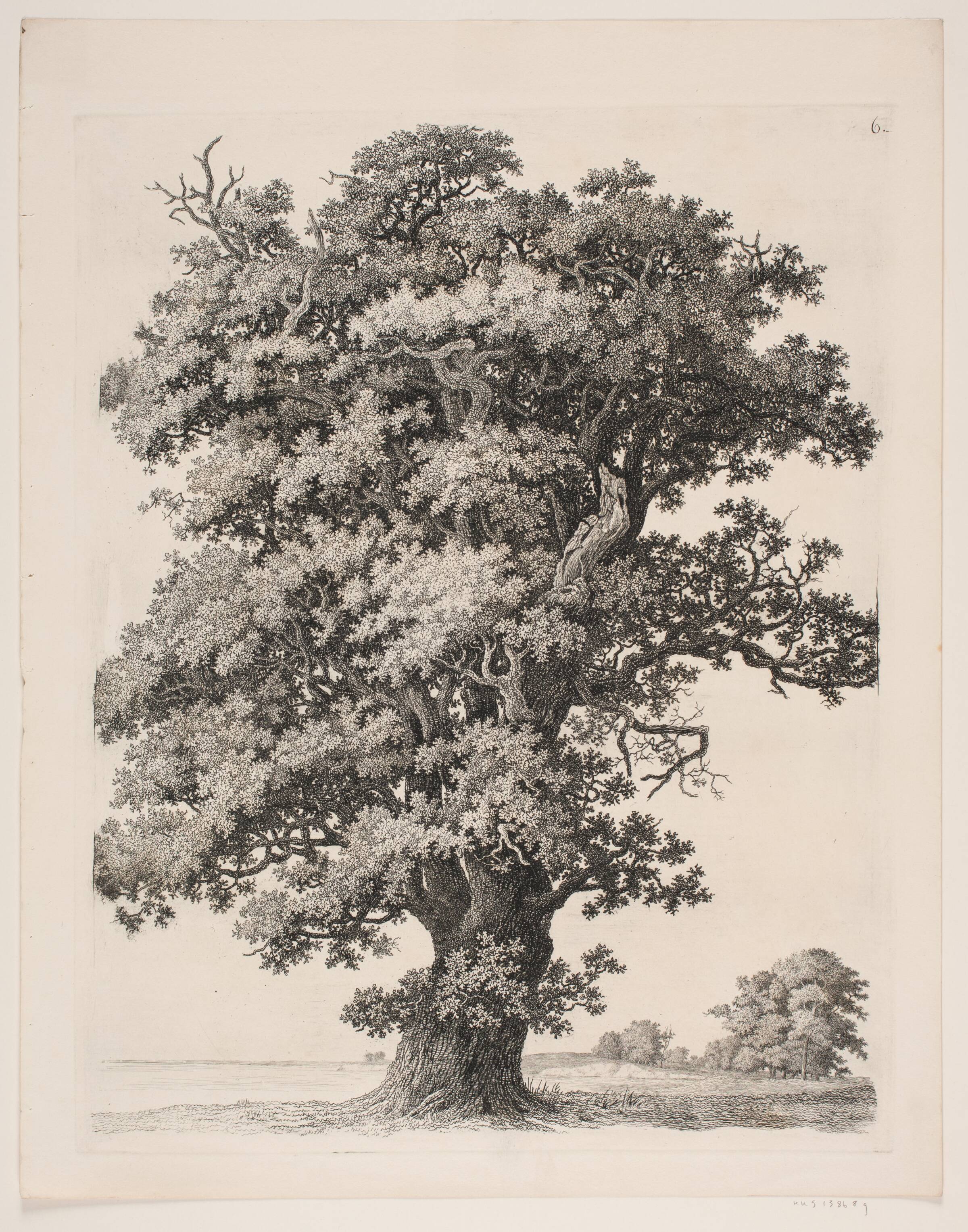 "Studier efter Naturen med Hensyn til Landskabstegning af S.H. Petersen", nr. 6, Søren Henrik Petersen, 1816