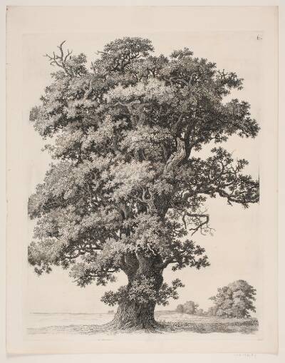 "Studier efter Naturen med Hensyn til Landskabstegning af S.H. Petersen", nr. 6