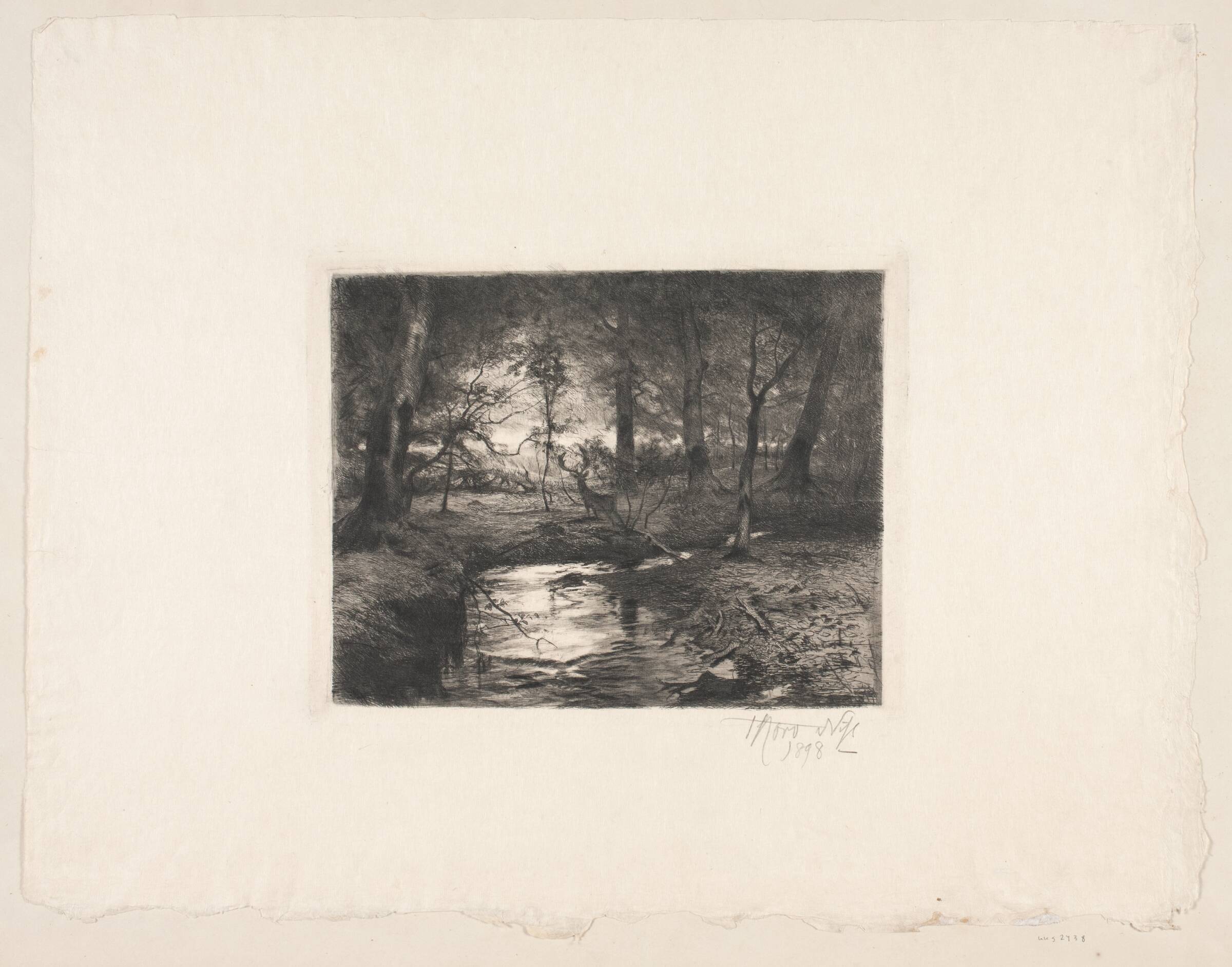 Aa i Borrevejle Skov, Thorvald Niss, 1898