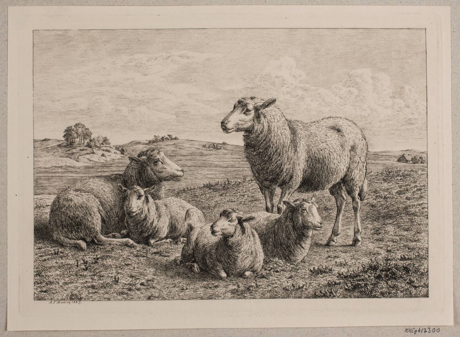 Får og lam på marken, Madsen, A.P., 1883