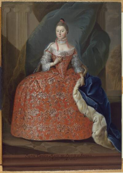 Sophia Carolina Maria, hertuginde af Braunschweig og Lünebourg