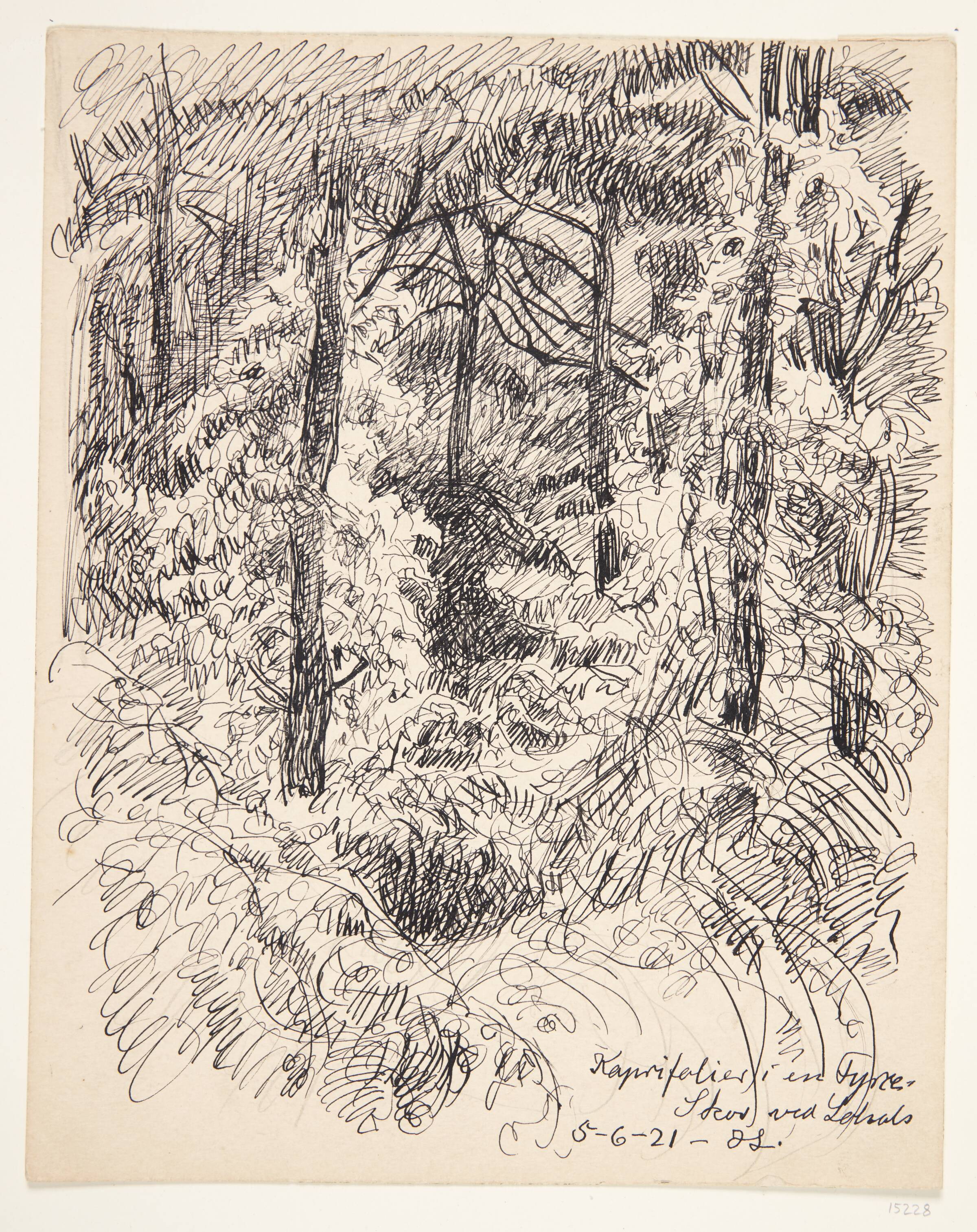 "Kaprifolier i en fyrreskov ved Lohals". Langeland, Johannes Larsen, 1921