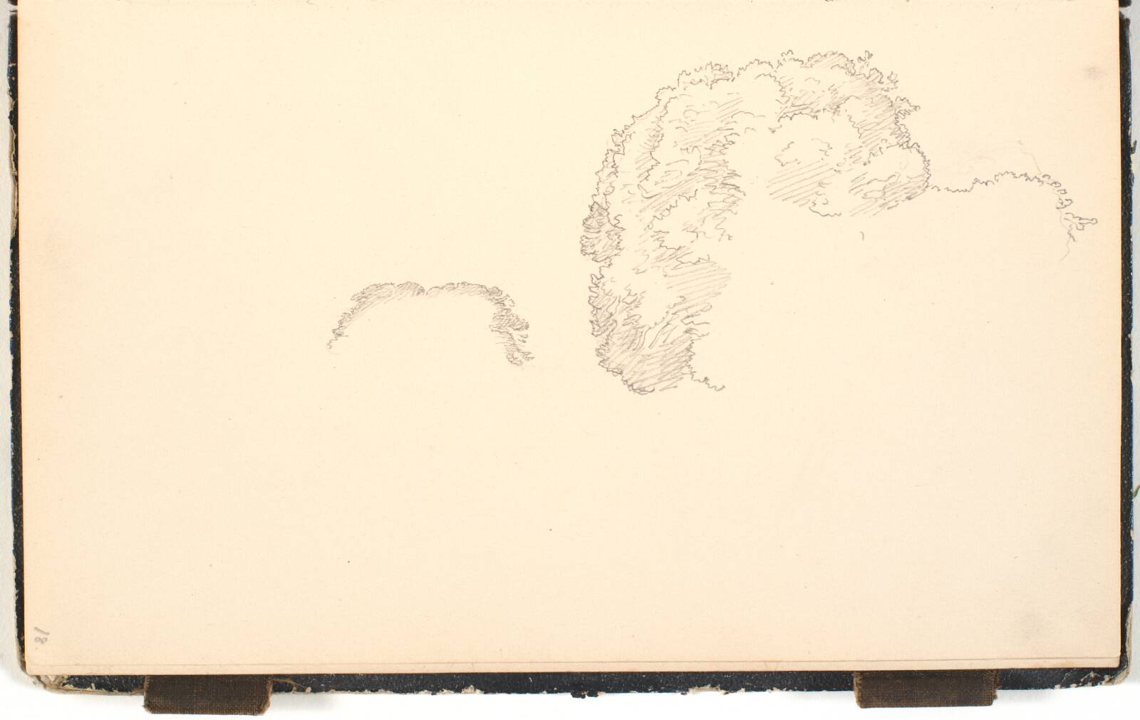 Trækroner, P.C. Skovgaard, 1872