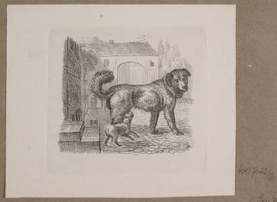 Illustration til O. Specter, "Fabler for Børn"