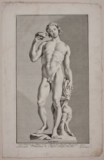 "Bachus"