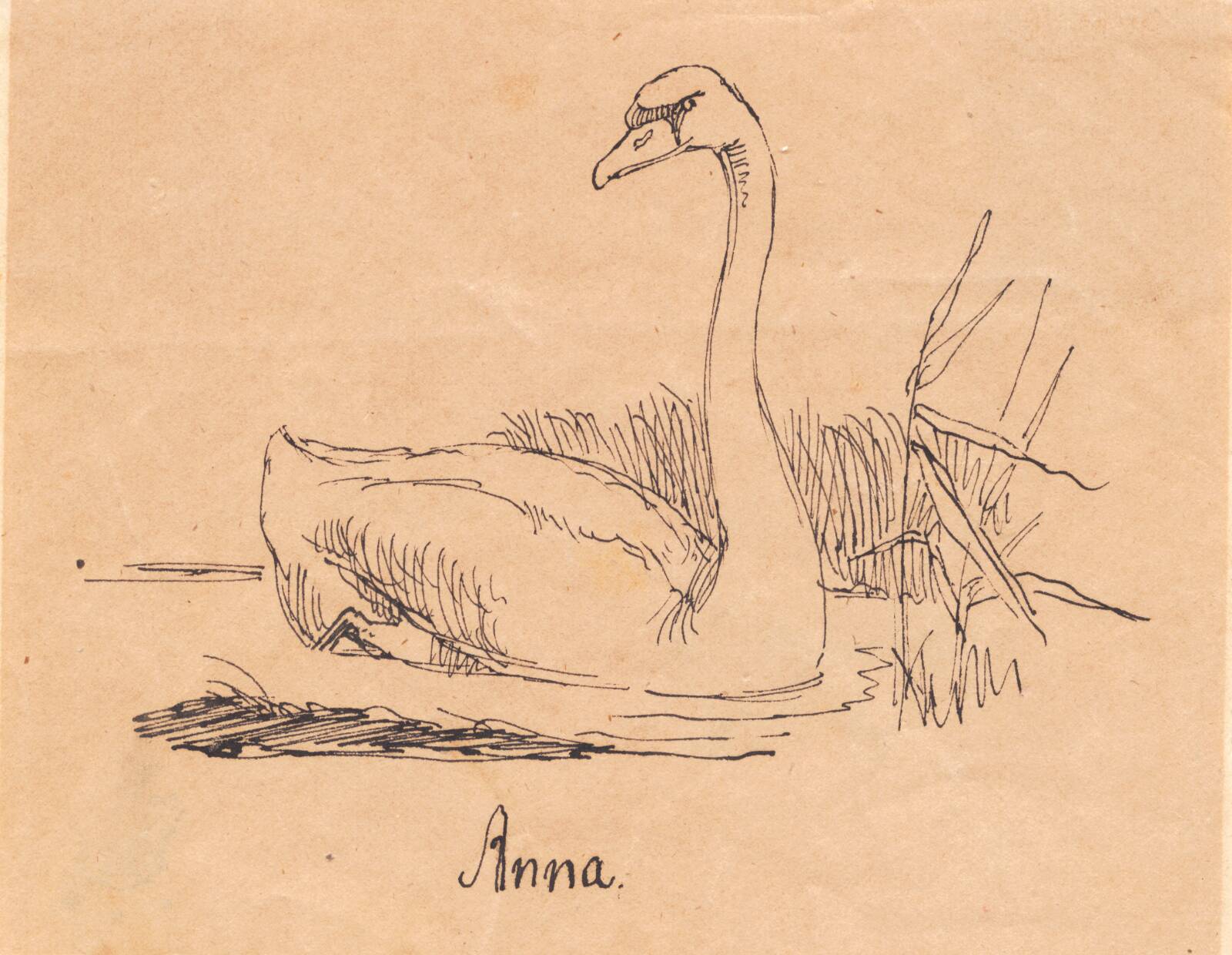 En svane, Johan Thomas Lundbye, 1842