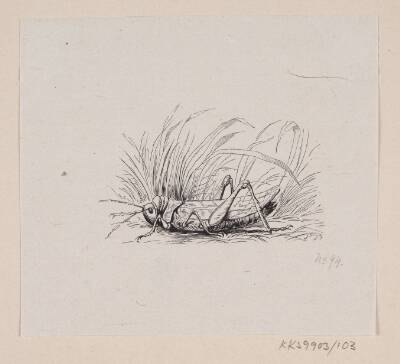 Illustration til "Springfyren" i H.C. Andersen, "Eventyr og Historier", Bind 2