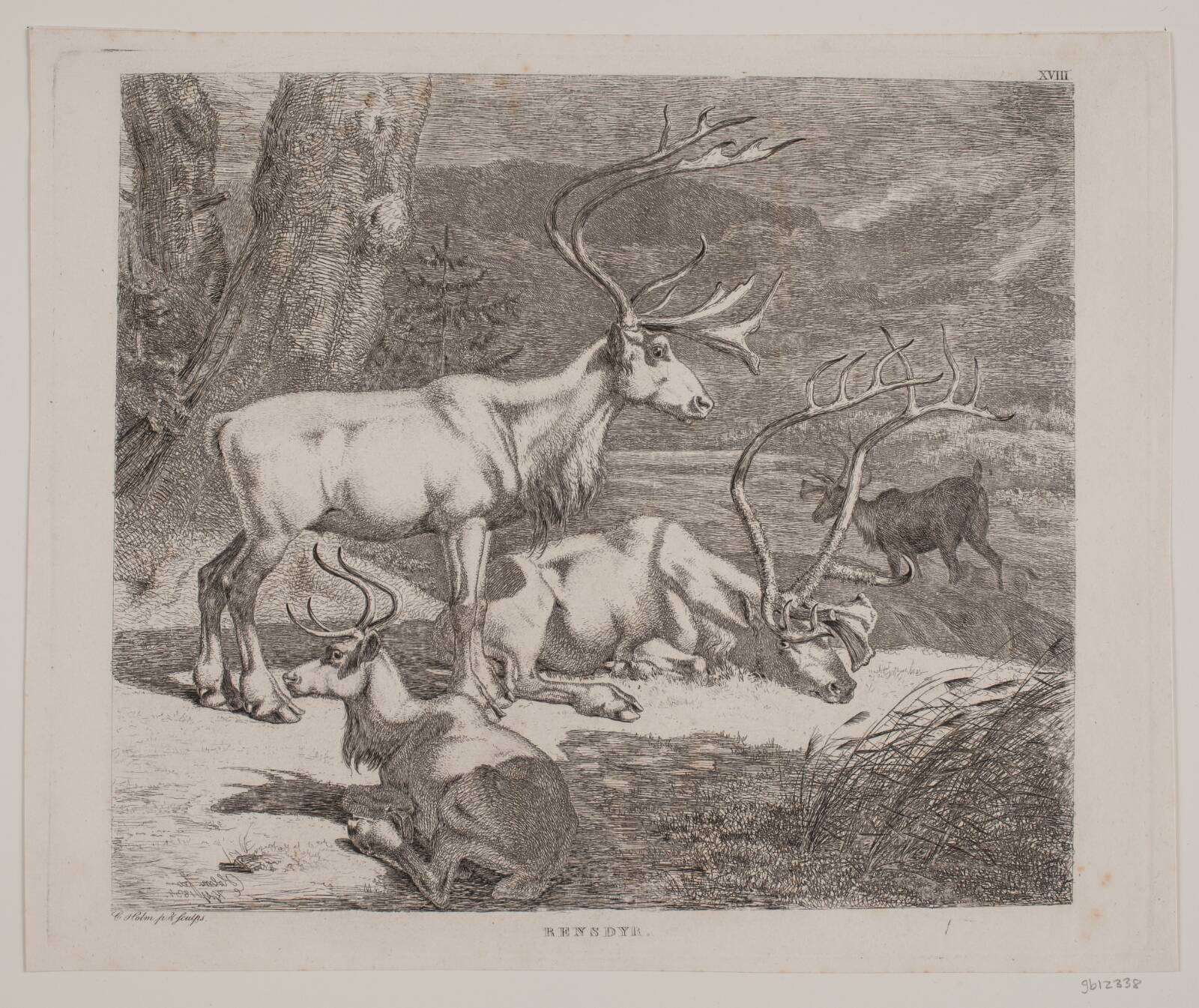 Rensdyr, Christian Holm, 1834