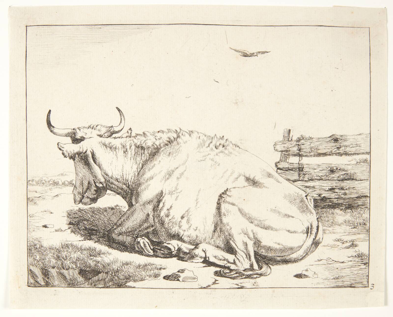 Liggende ko, Marcus de Bye, 1638-1690